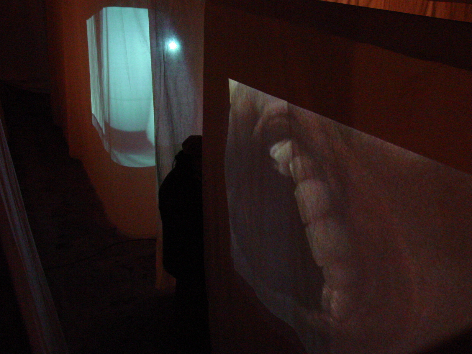 A large close-up video projection of a human mouth displayed on a fabric partition wall within a dark gallery space.