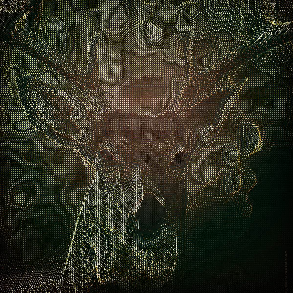 Generative dissection of a deer